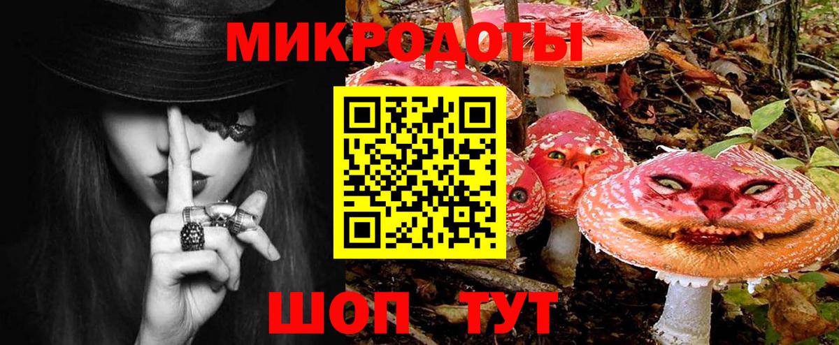 Псилоцибиновые грибы мухоморы Кандалакша